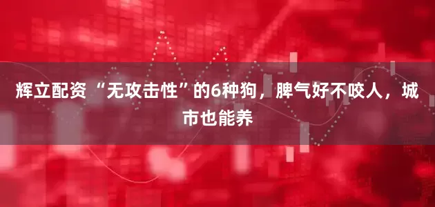 辉立配资 “无攻击性”的6种狗，脾气好不咬人，城市也能养