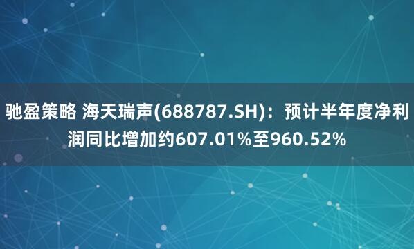 驰盈策略 海天瑞声(688787.SH)：预计半年度净利润同比增加约607.01%至960.52%